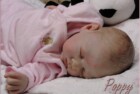 Poppy