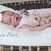 Daisy Pearl
